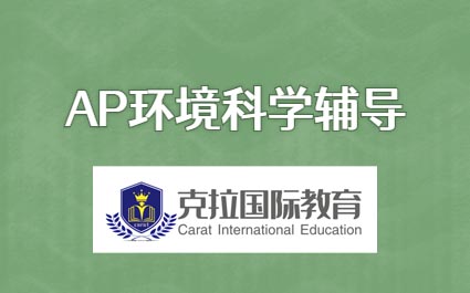 AP������ѧ������AP������ѧ֪ʶ���ܽ�