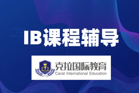IB����Bд����׼��ʲô��