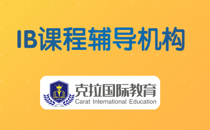IB���ʸ��пγ̸�������